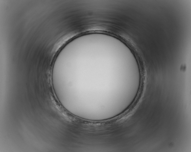 X0000111781121200907230943