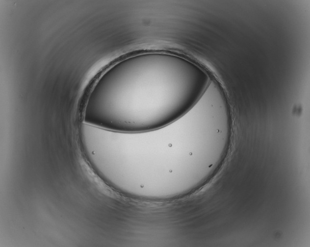 X0000111781122200907230943