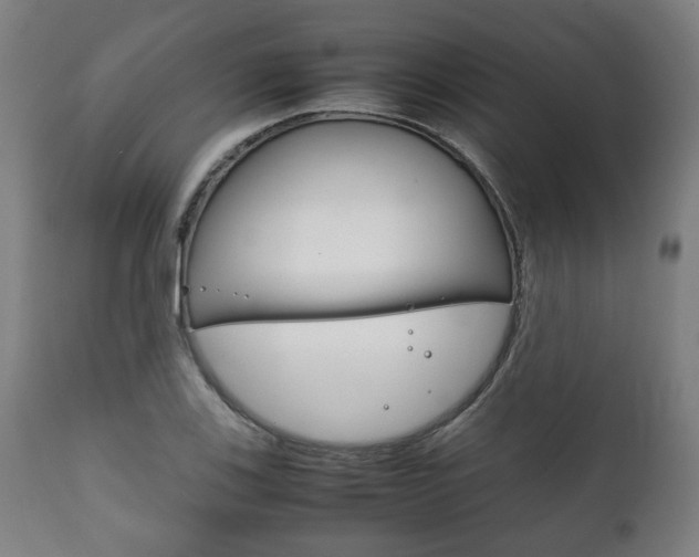 X0000111781123200907230943