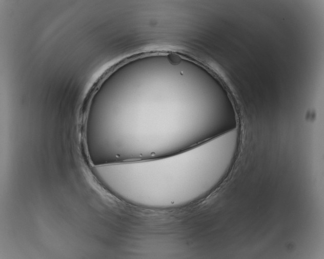 X0000111781124200907230943