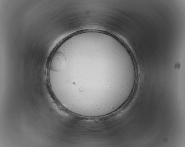 X0000111781125200907230943