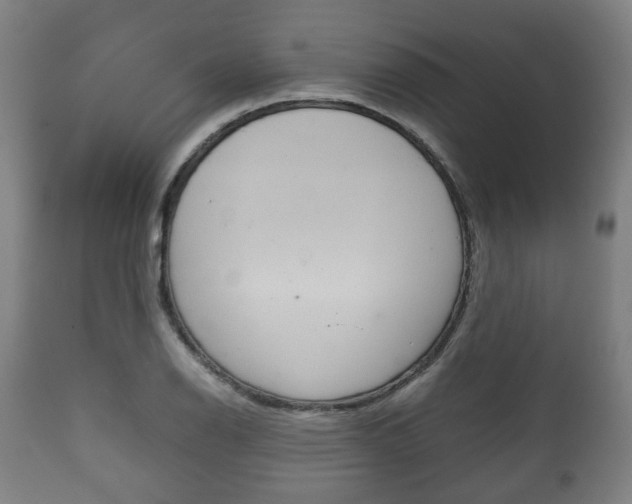 X0000111781126200907230943