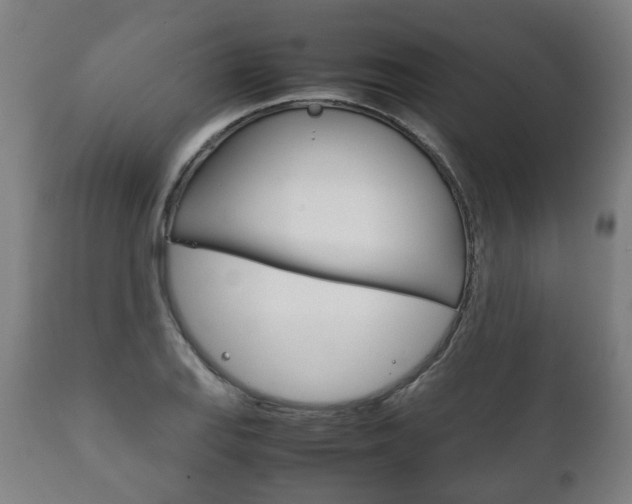 X0000111781127200907230943