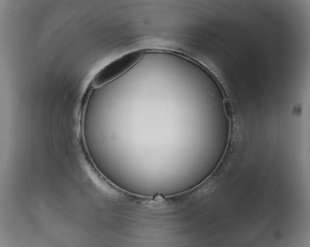X0000111781128200907230943