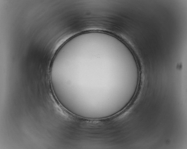 X0000111781129200907230943