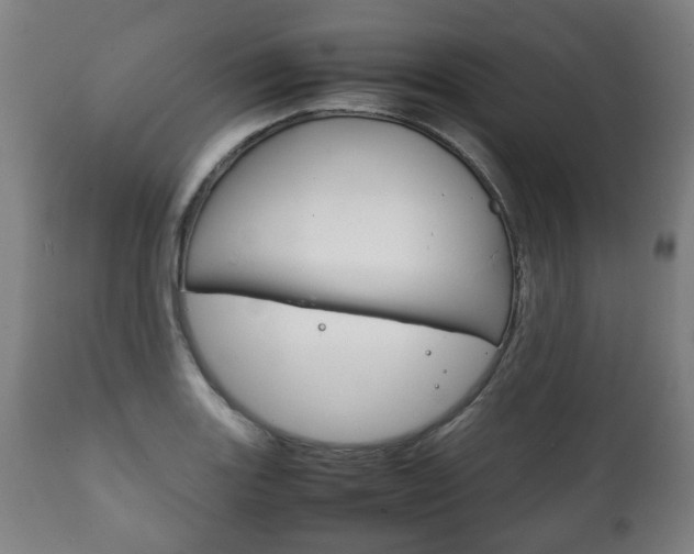 X0000111781131200907230943