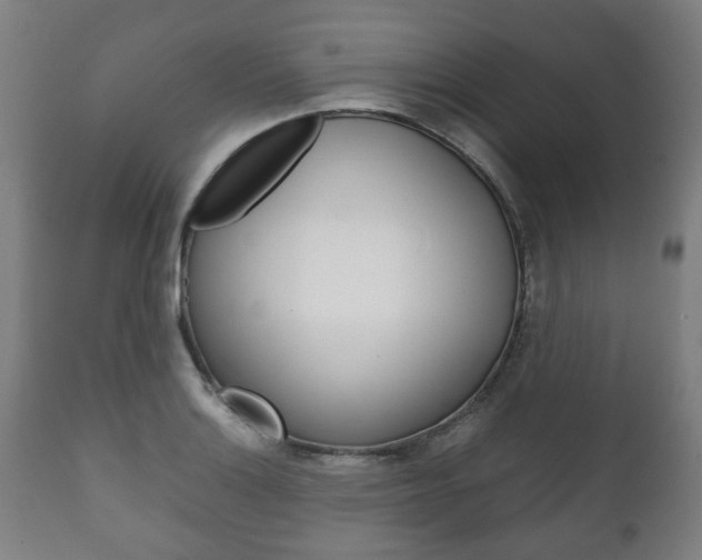X0000111781132200907230943