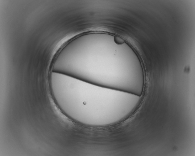 X0000111781133200907230943