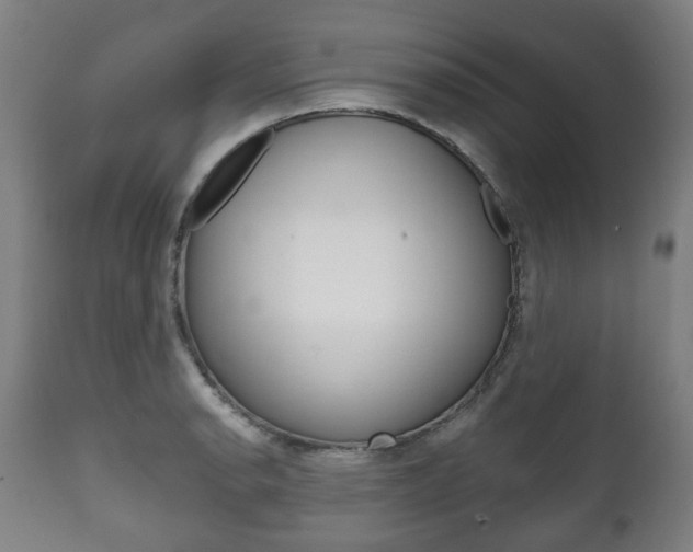 X0000111781134200907230943