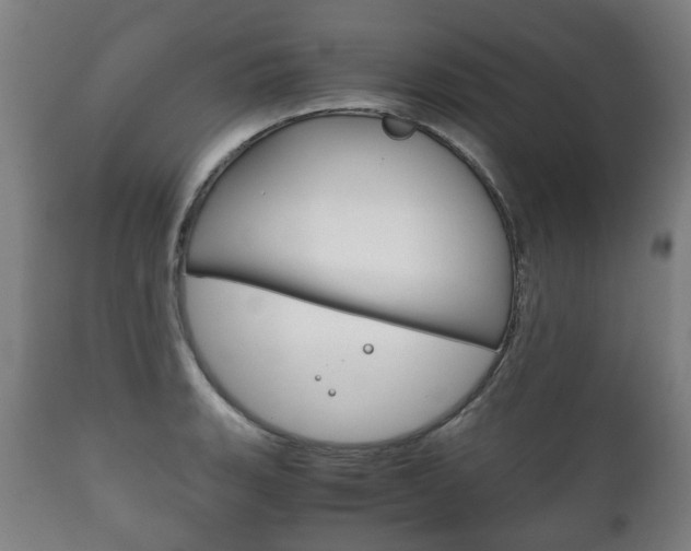 X0000111781135200907230943