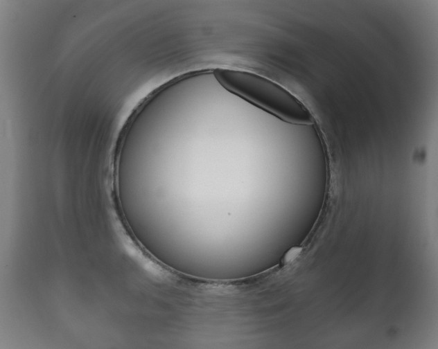 X0000111781136200907230943