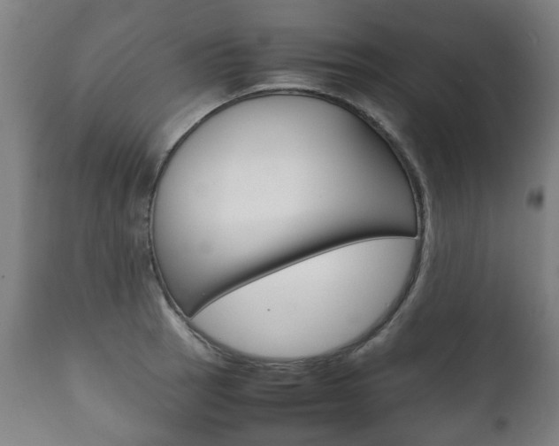 X0000111781137200907230943