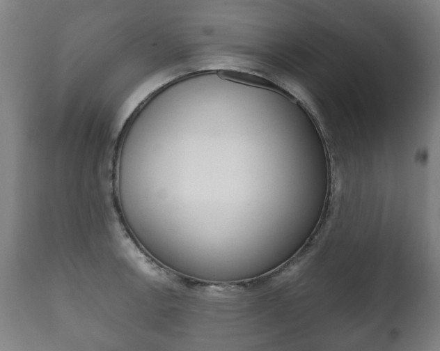 X0000111781138200907230943