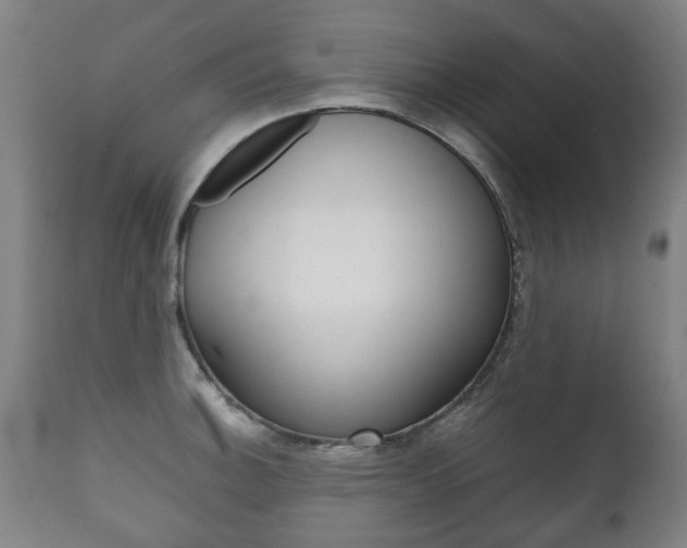 X0000111781140200907230943