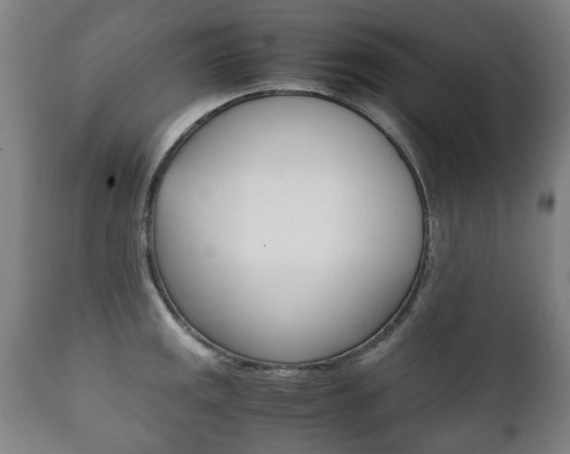 X0000111781141200907230943