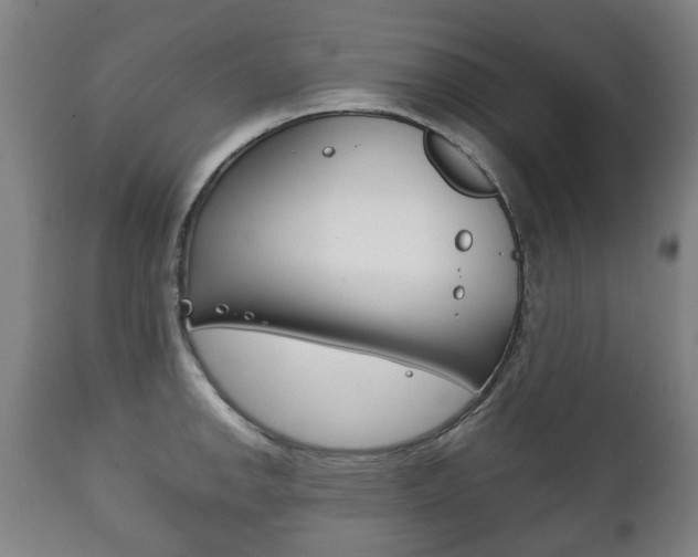 X0000111781142200907230943