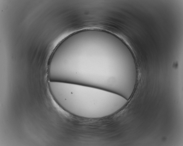 X0000111781143200907230943