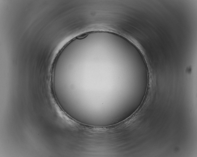 X0000111781144200907230943