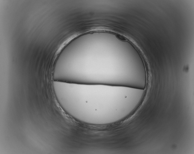 X0000111781145200907230943