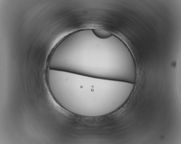 X0000111781147200907230943