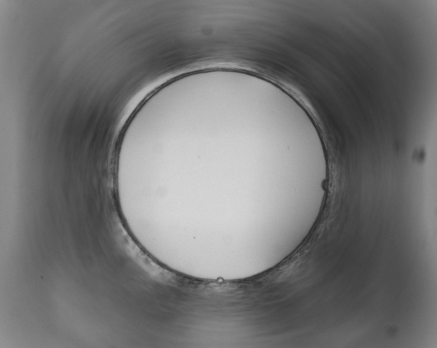 X0000111781148200907230943