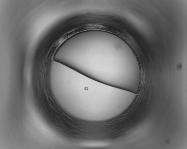 X0000111781151200907230943