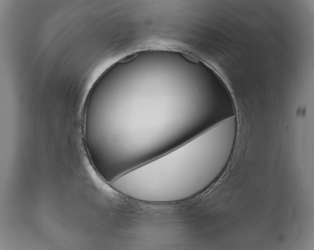 X0000111781152200907230943