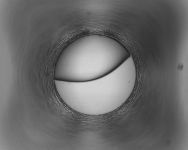 X0000111781153200907230943