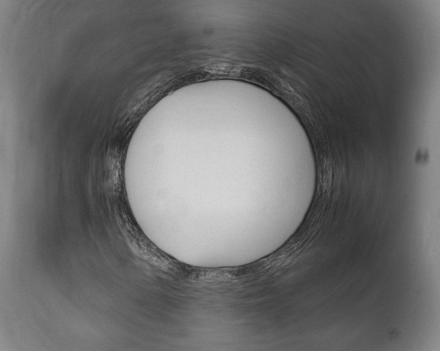 X0000111781154200907230943