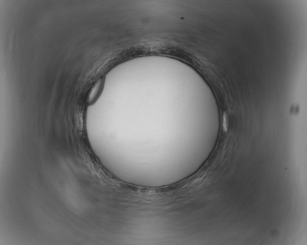 X0000111781155200907230943