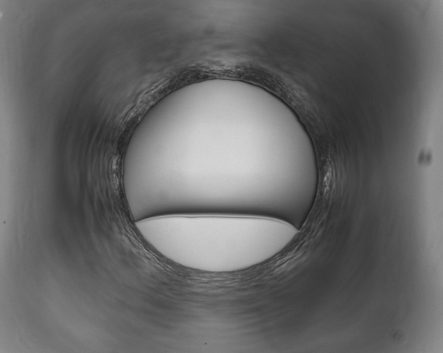 X0000111781156200907230942