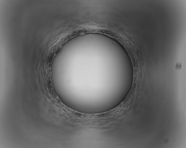 X0000111781157200907230942