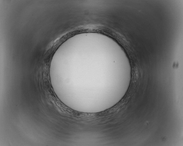 X0000111781158200907230942