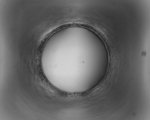 X0000111781159200907230942