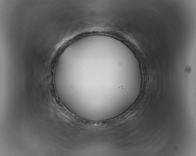 X0000111781160200907230942