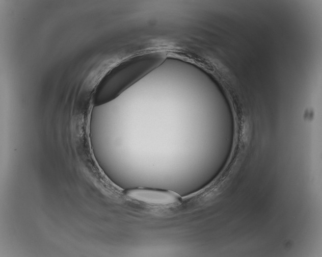 X0000111781161200907230942
