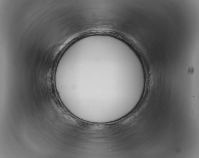X0000111781162200907230942