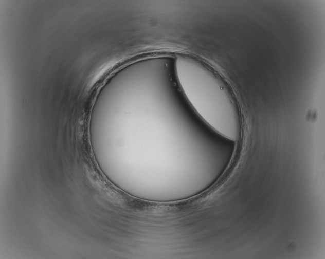 X0000111781163200907230942