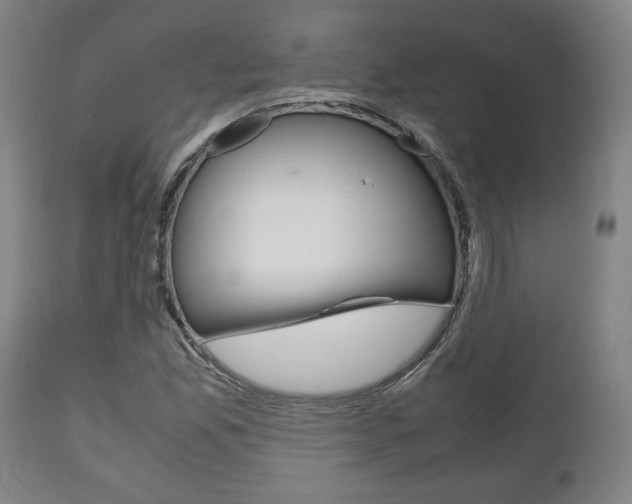 X0000111781165200907230942