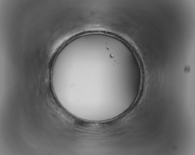 X0000111781167200907230942