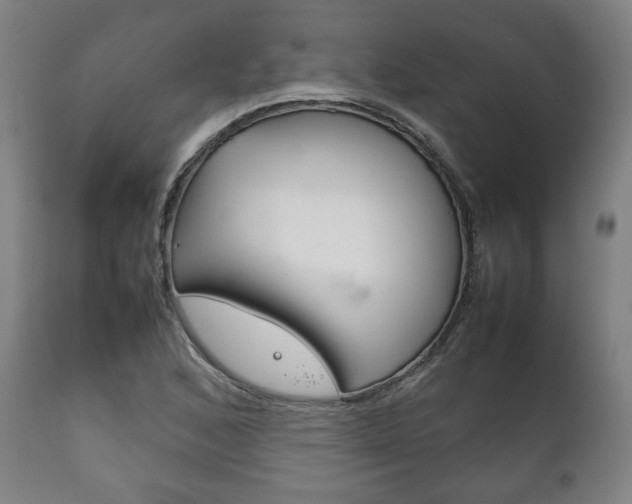 X0000111781168200907230942