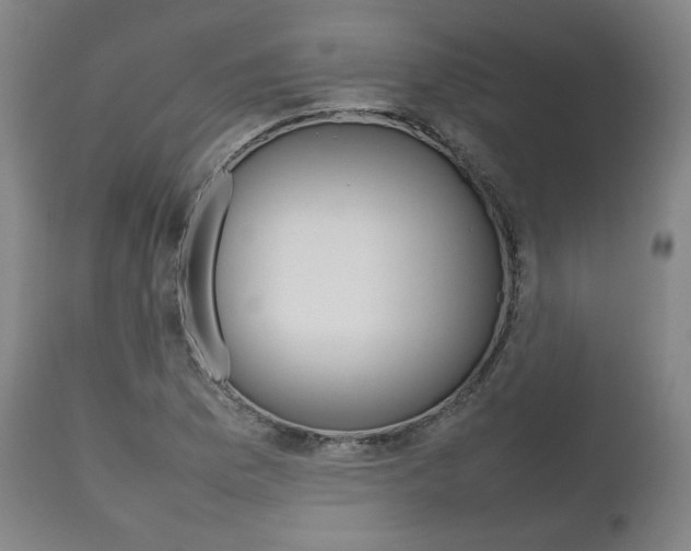 X0000111781169200907230942