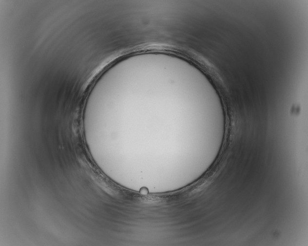 X0000111781170200907230942