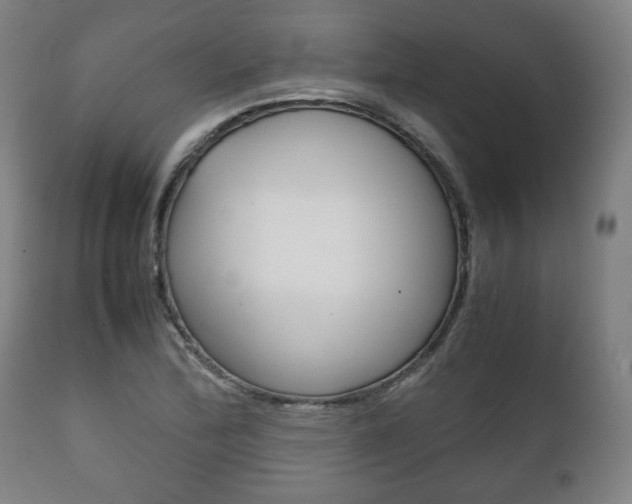 X0000111781172200907230942