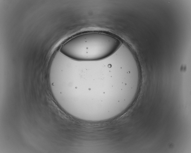 X0000111781173200907230942