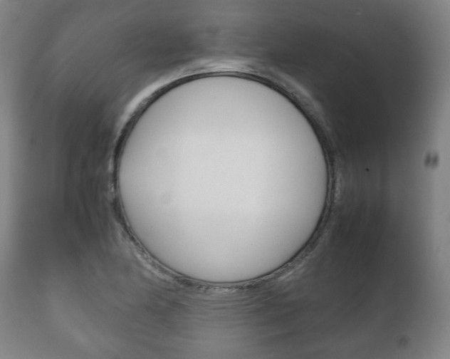 X0000111781174200907230942