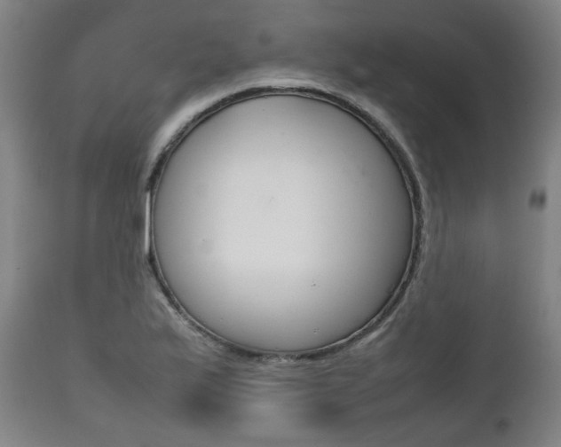 X0000111781175200907230942