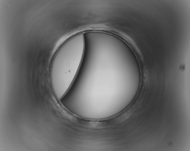 X0000111781176200907230942