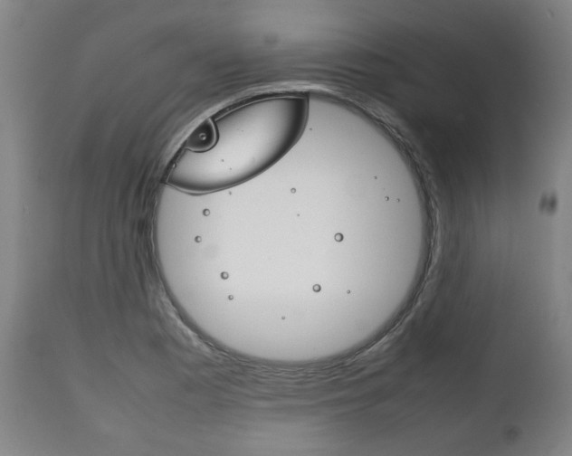 X0000111781177200907230942