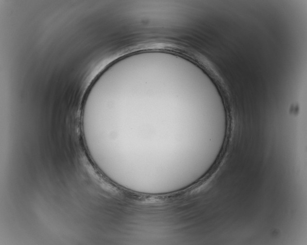 X0000111781178200907230942